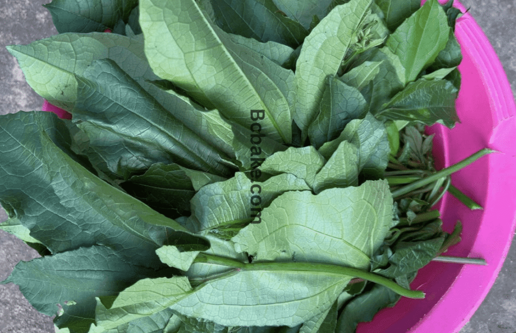 Pumpkin leaf